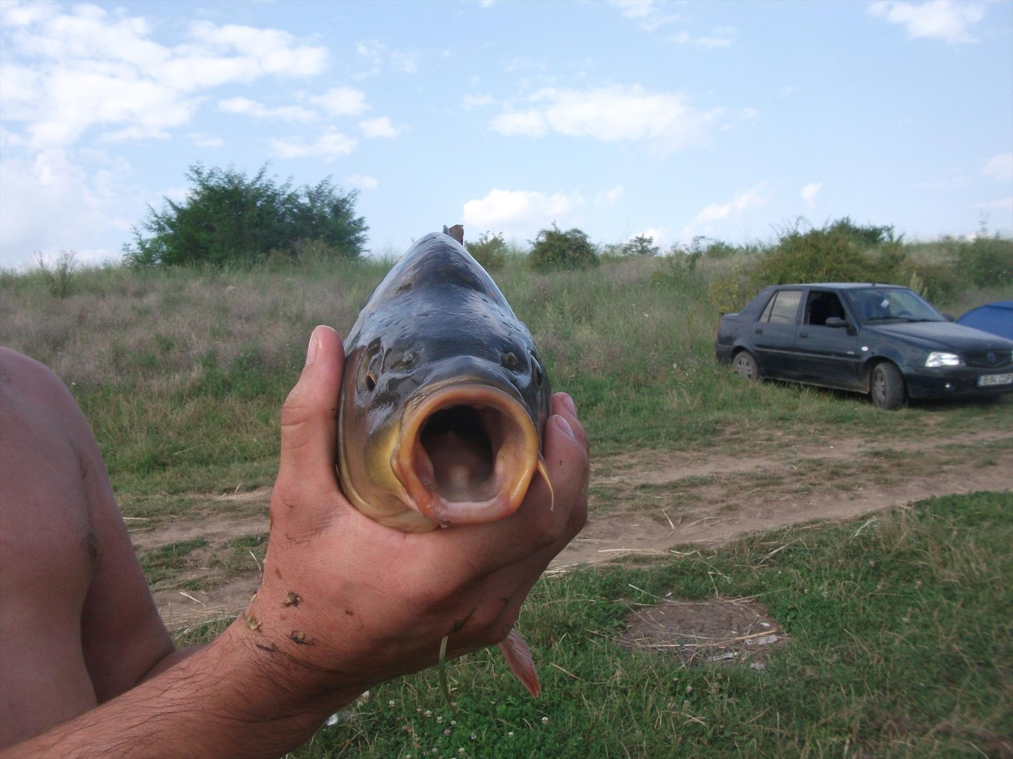 Walter 25-26.07.2013 - dscf0779.jpg